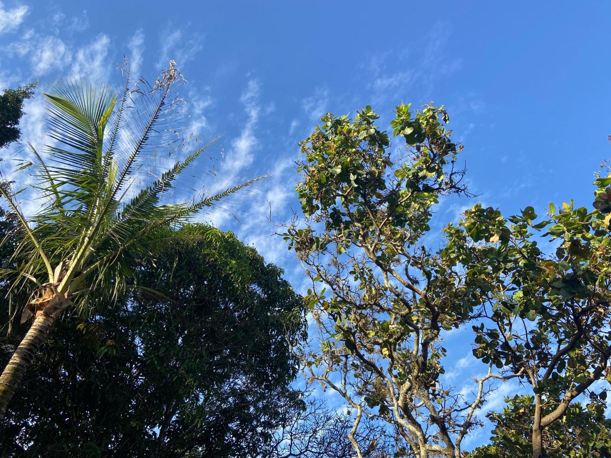 Quarto Privativo Chacara Pe Na Roca Brotas Exterior foto