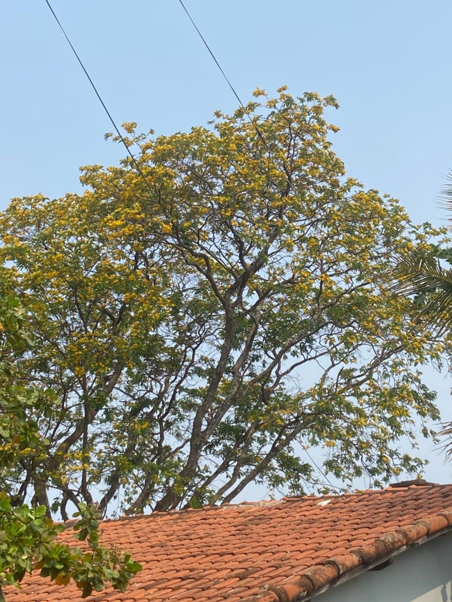 Quarto Privativo Chacara Pe Na Roca Brotas Exterior foto